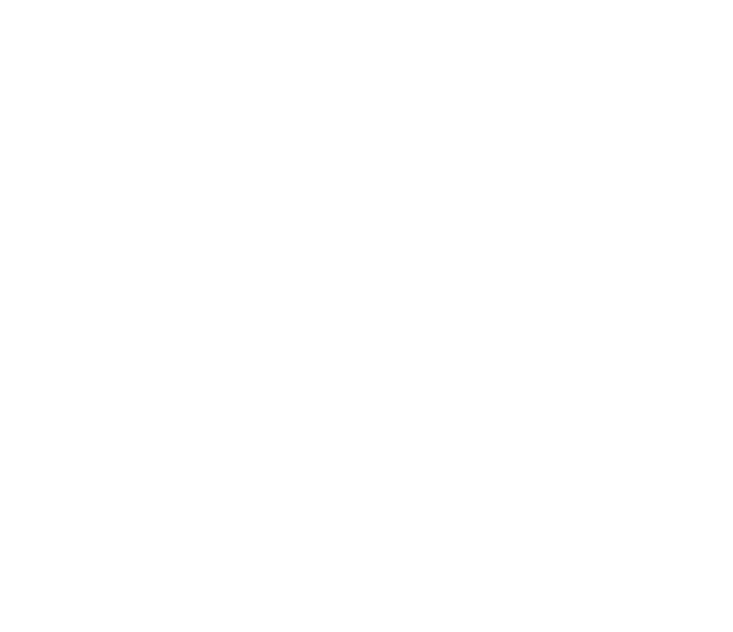 Institut Ramon Lllull